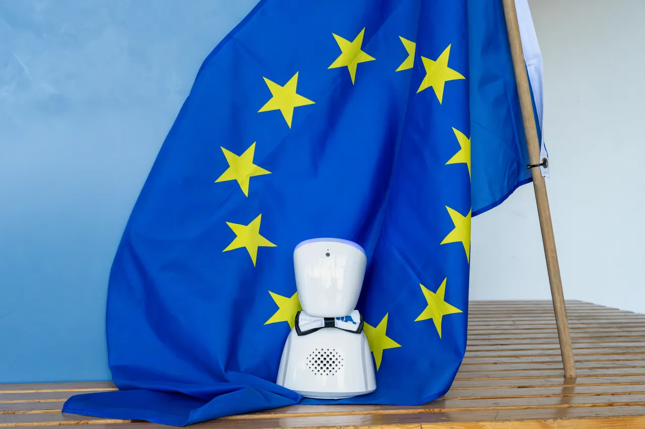 Avatar-Roboter gefördert durch Erasmus-Projekt