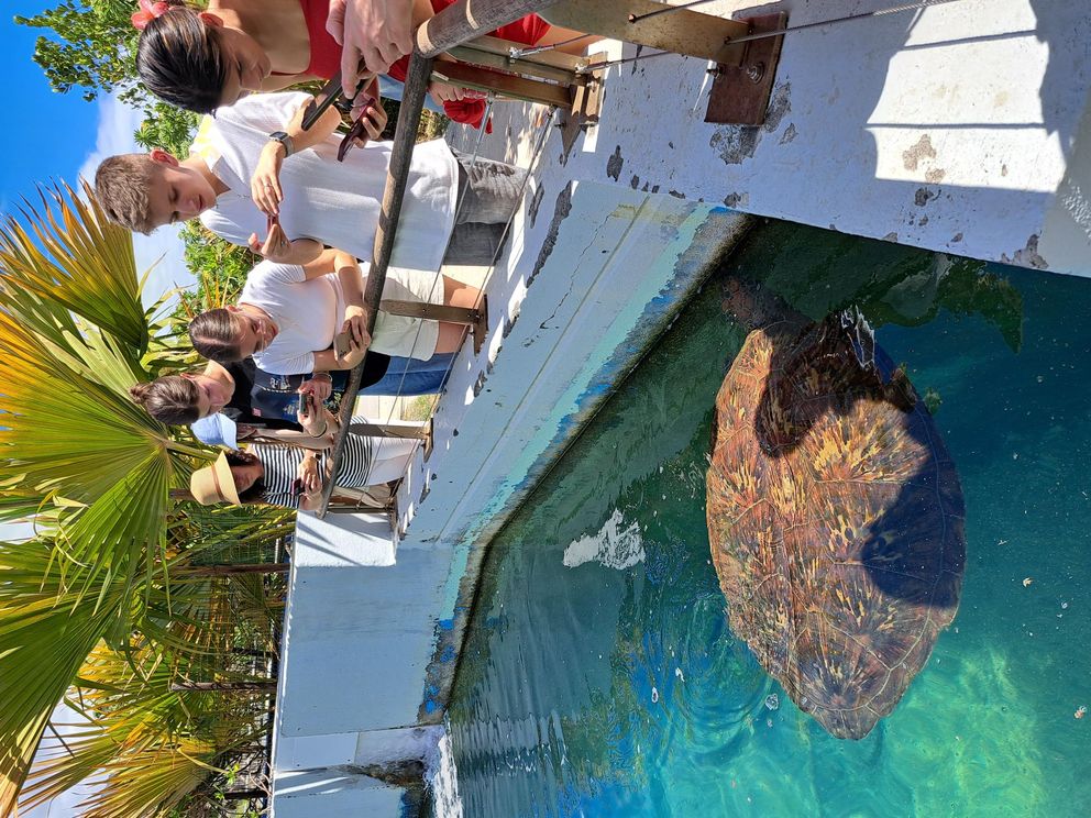 Was für ein Abenteuer! Erasmus-Team besucht Partner auf La Reunion