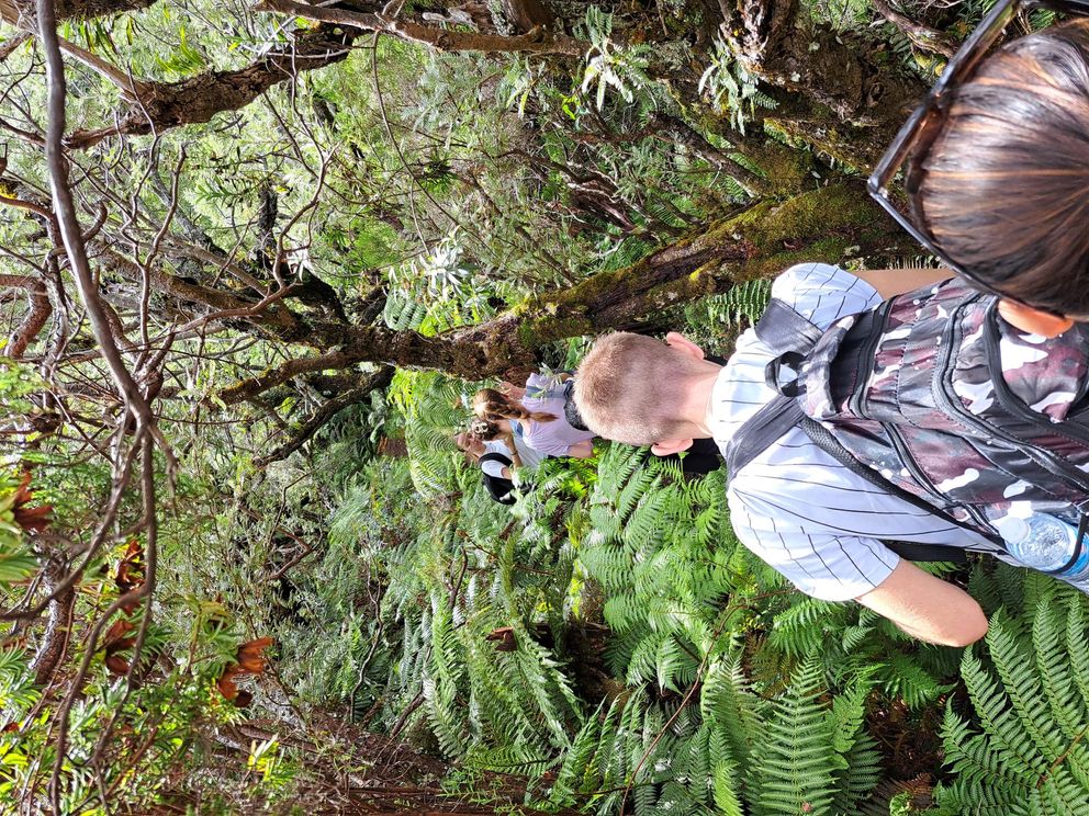 Was für ein Abenteuer! Erasmus-Team besucht Partner auf La Reunion